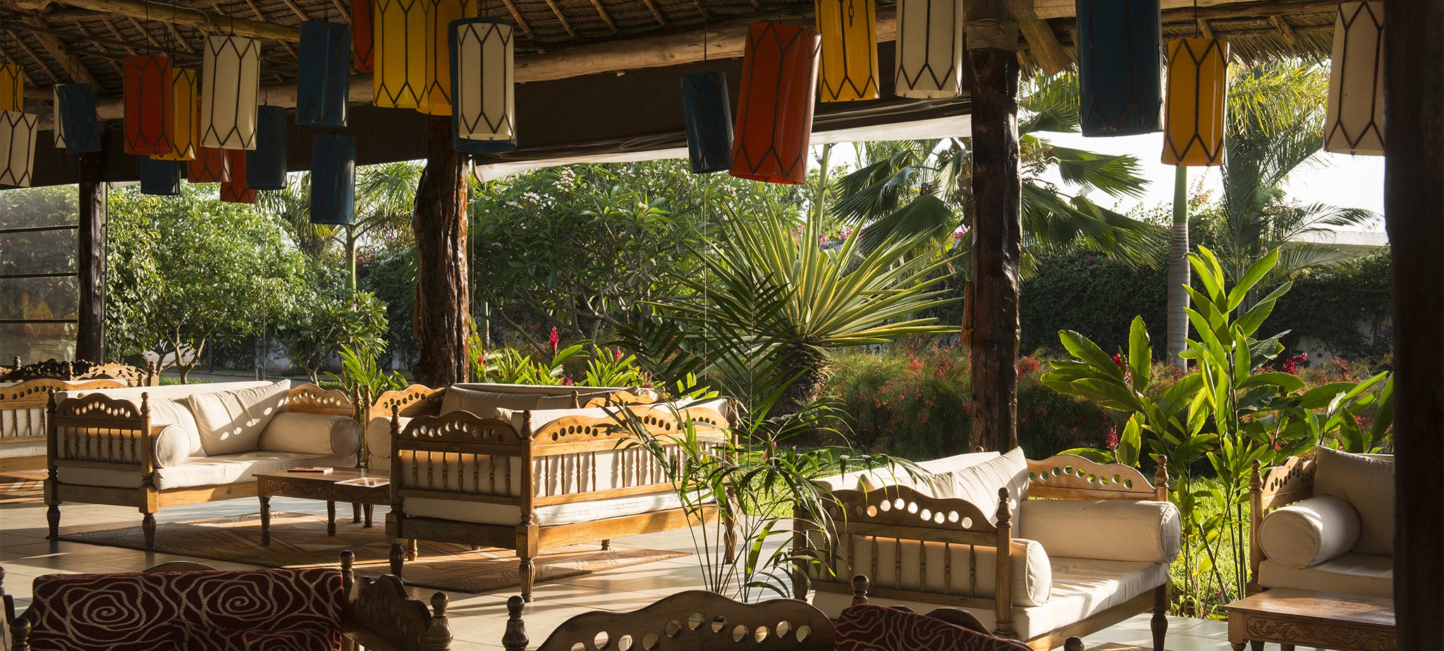 Dream of Zanzibar 